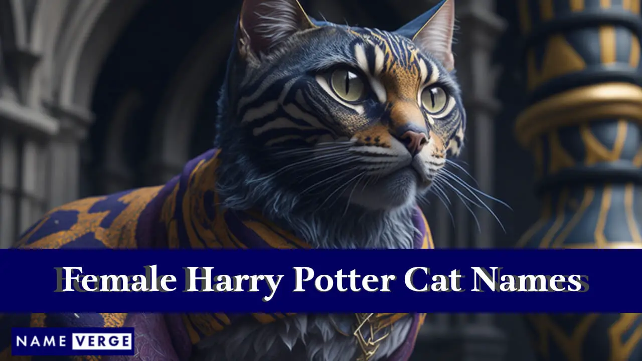 Nomi di gatti femminili di Harry Potter