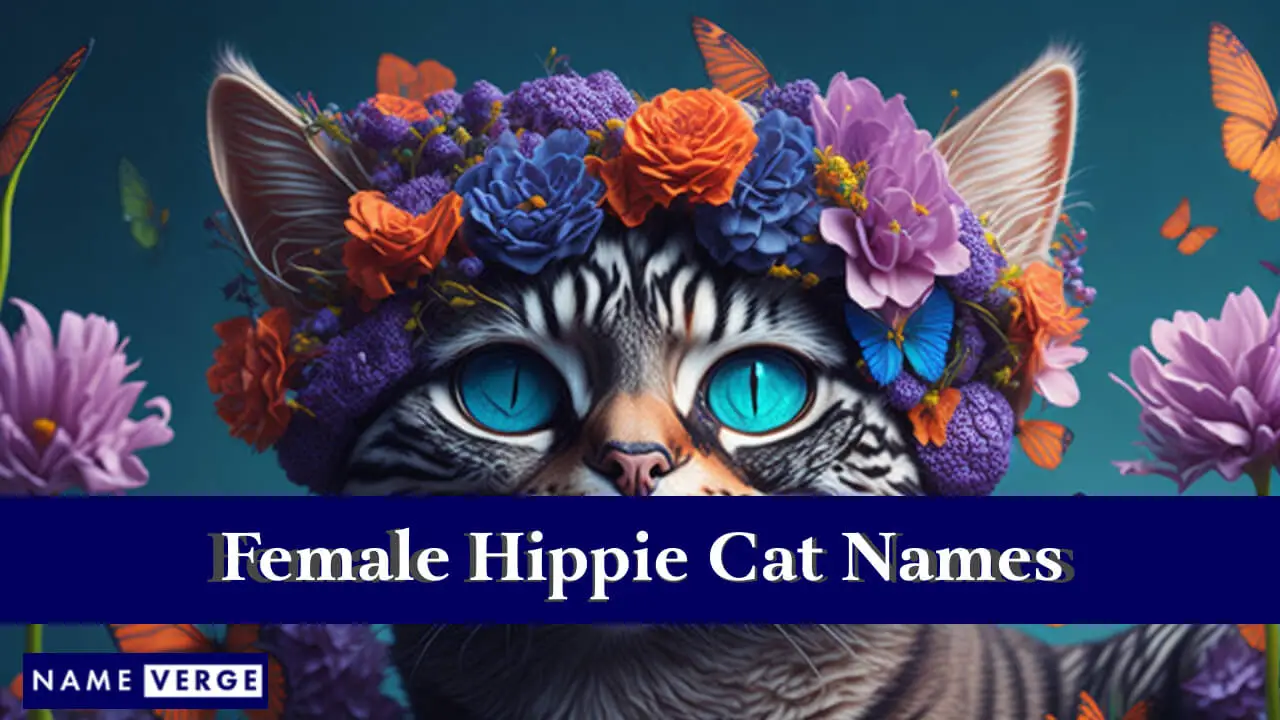 Nomi di gatti hippie femminili