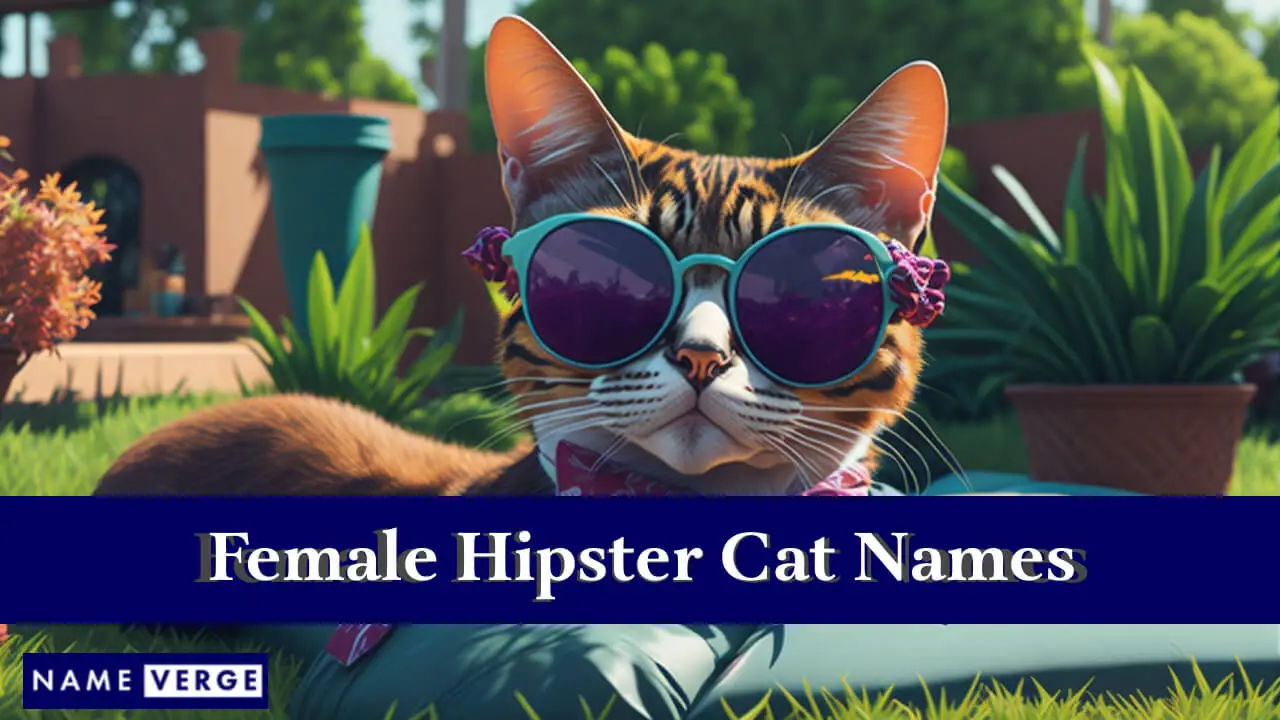 Nomi di gatti hipster femminili
