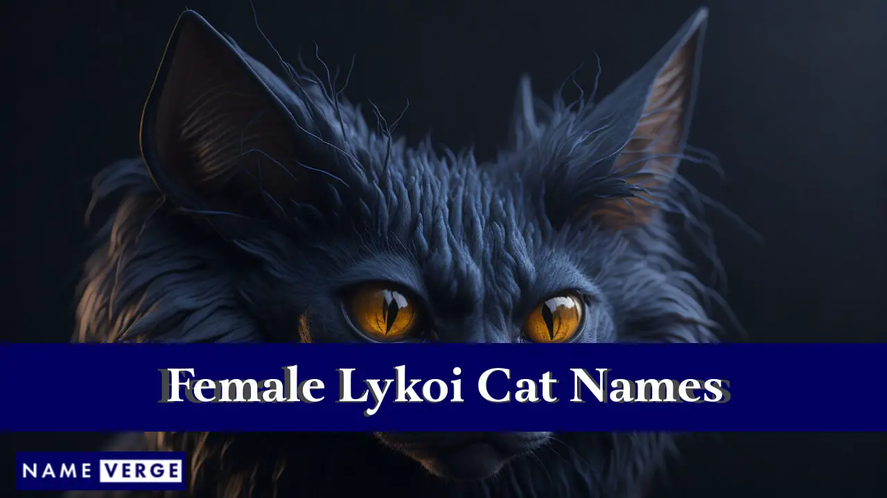 Nomi di gatti Lykoi femminili