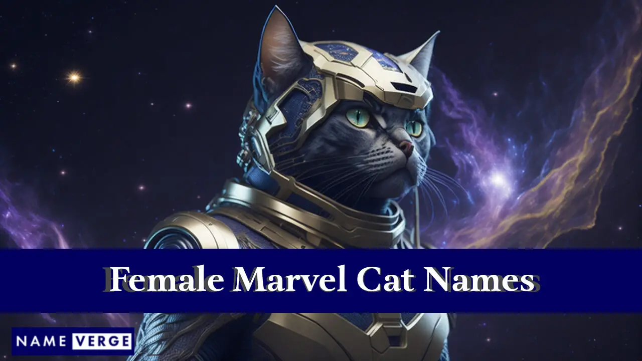 Nomi di gatti Marvel femminili