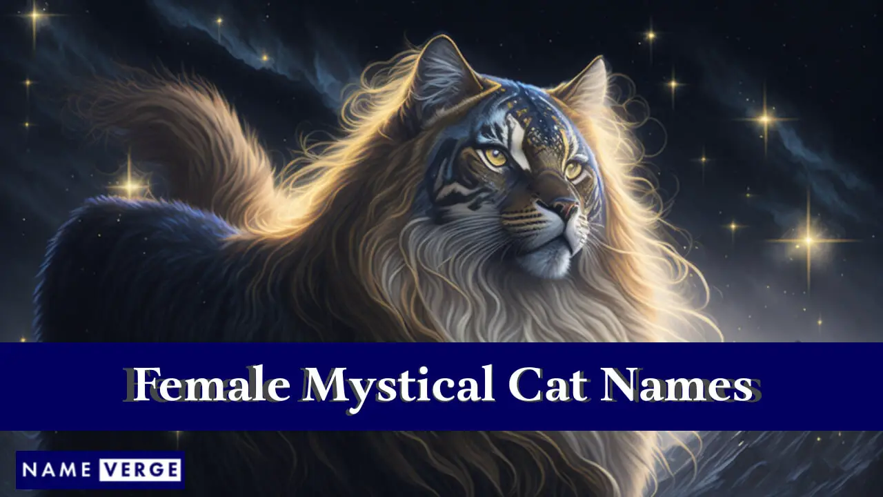 Nomi di gatti mistici femminili