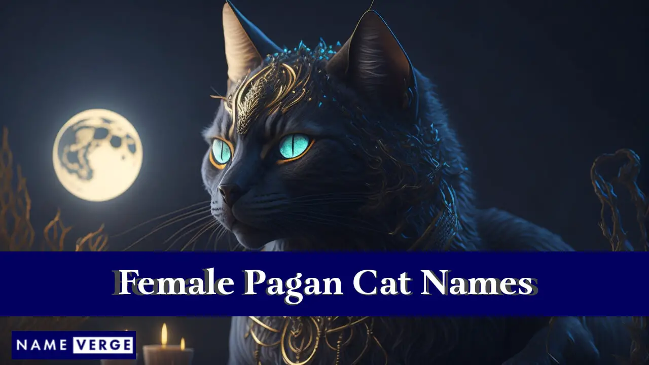 Nomi di gatti pagani femminili
