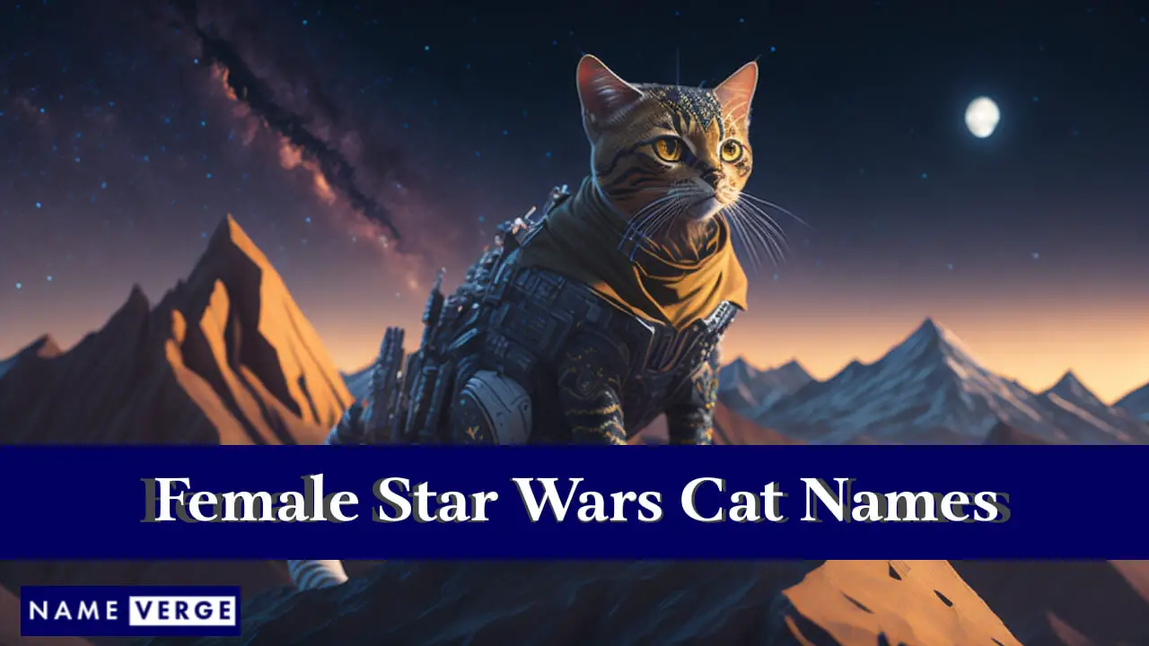 Nomi di gatti femminili di Star Wars