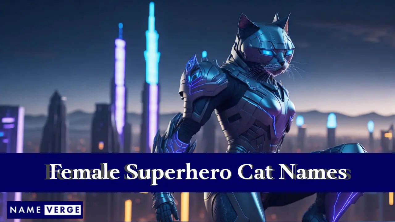 Nomi di gatti supereroi femminili