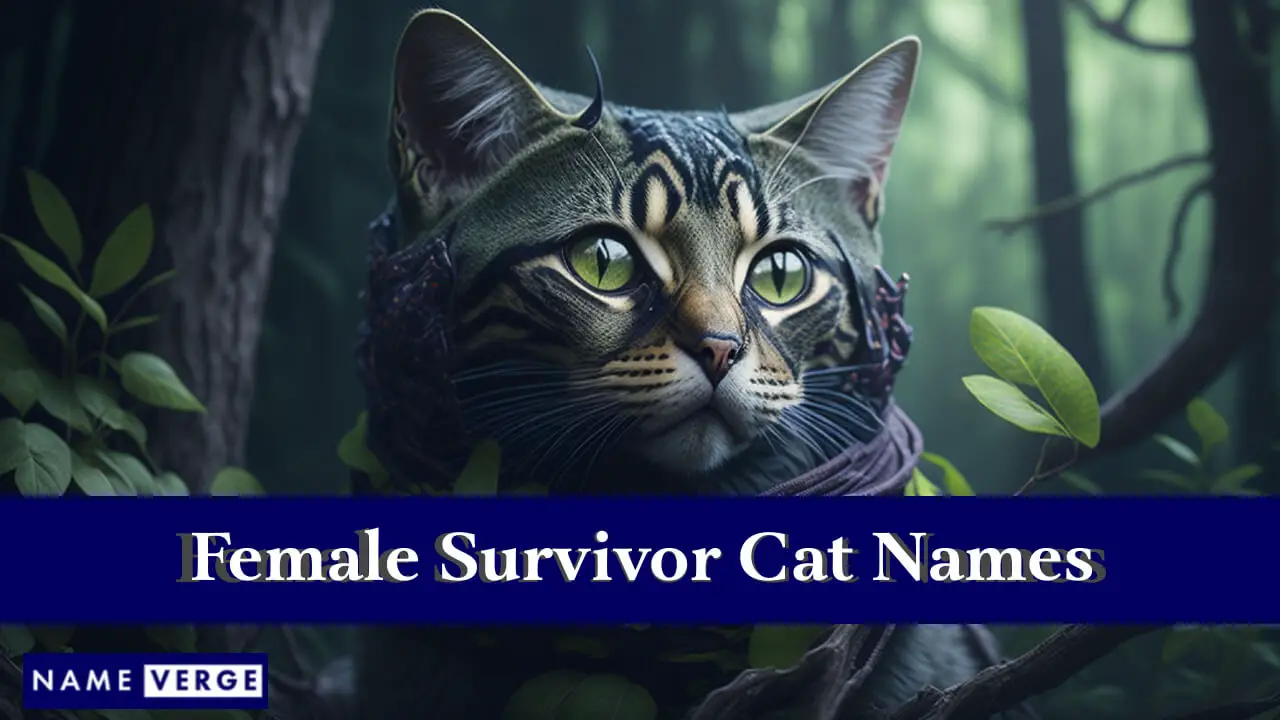 Nomi di gatti sopravvissuti femminili