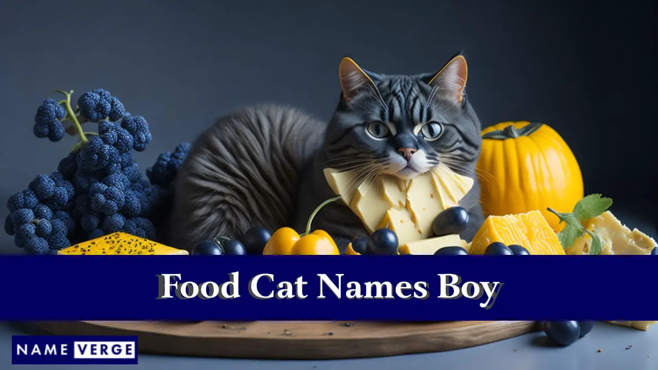 Nomi di cibo per gatti ragazzo