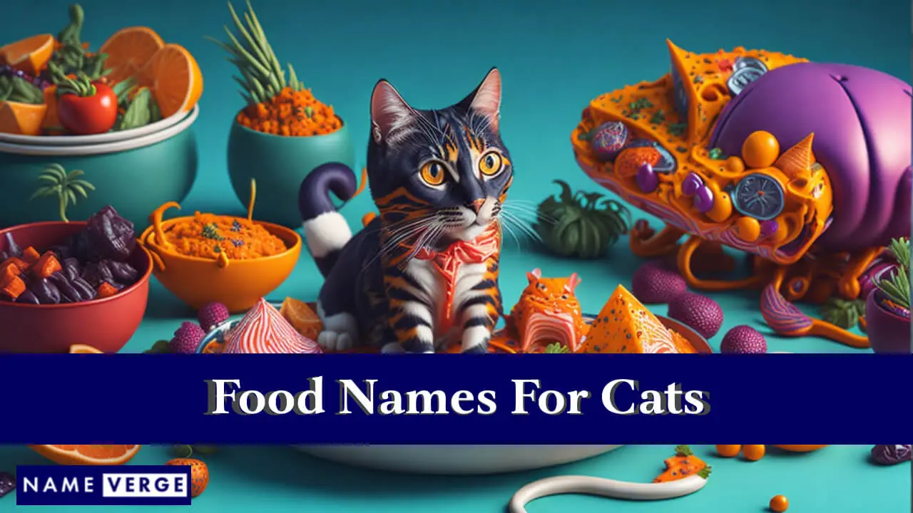 Nomi degli alimenti per gatti