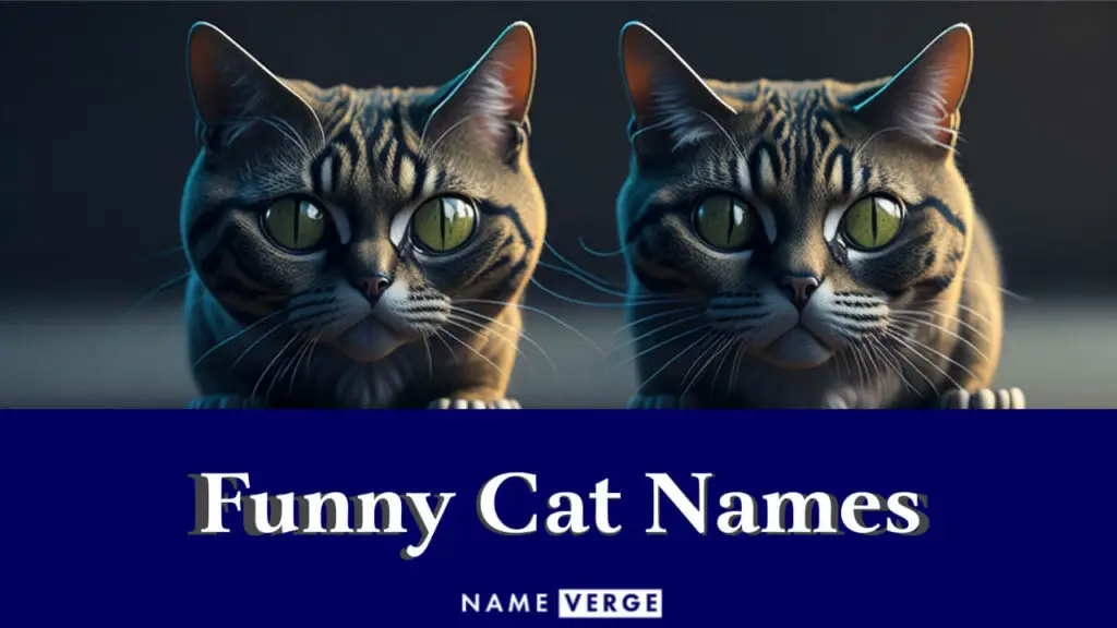 funny cat names