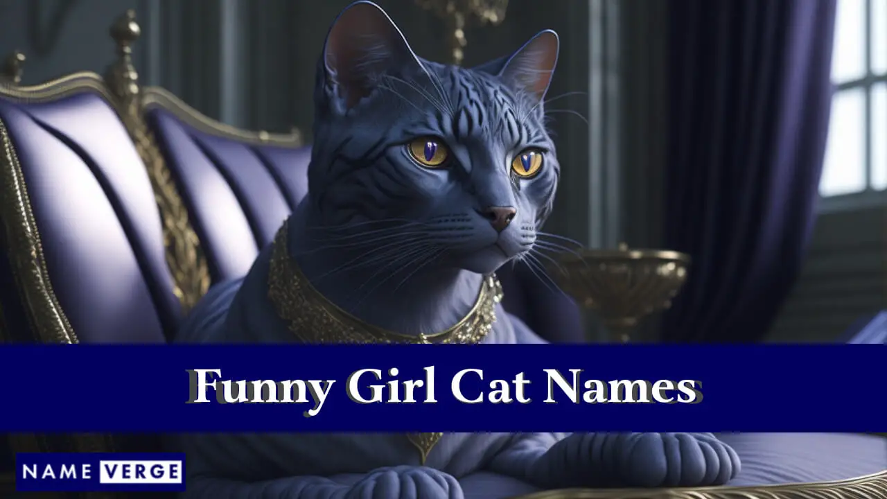 Nomi di gatti divertenti per ragazze