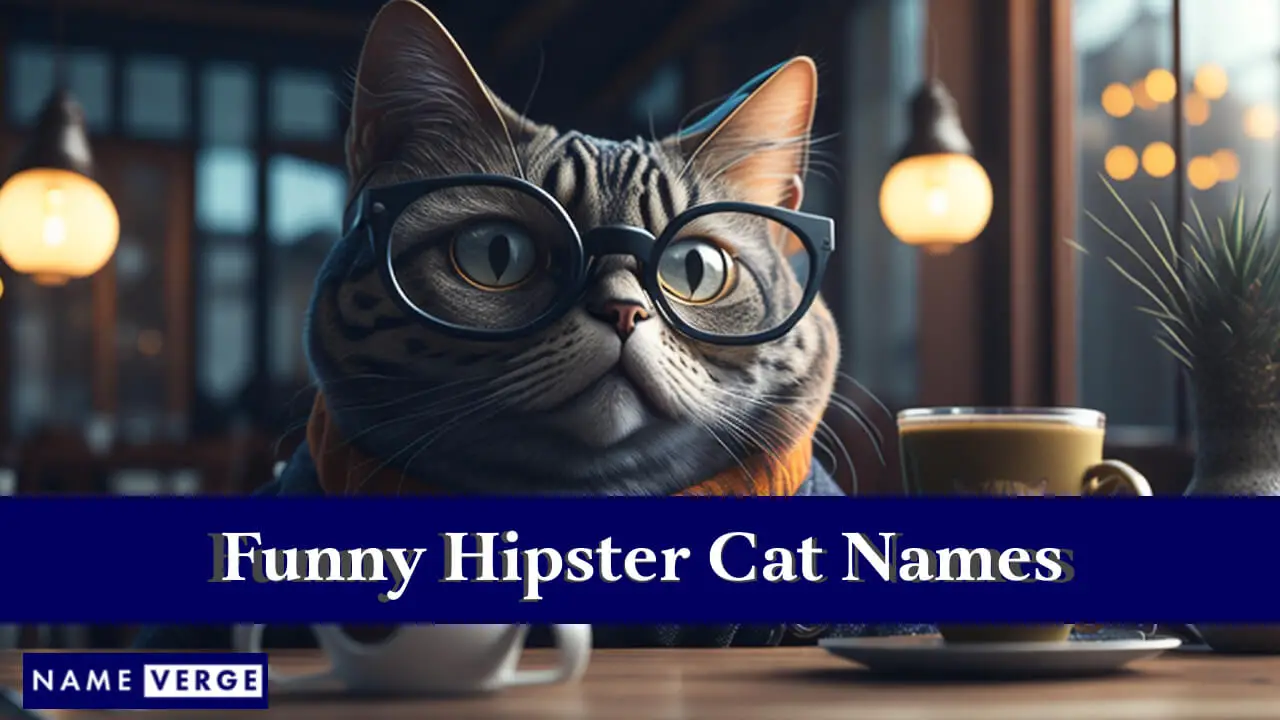 Nomi divertenti per gatti hipster