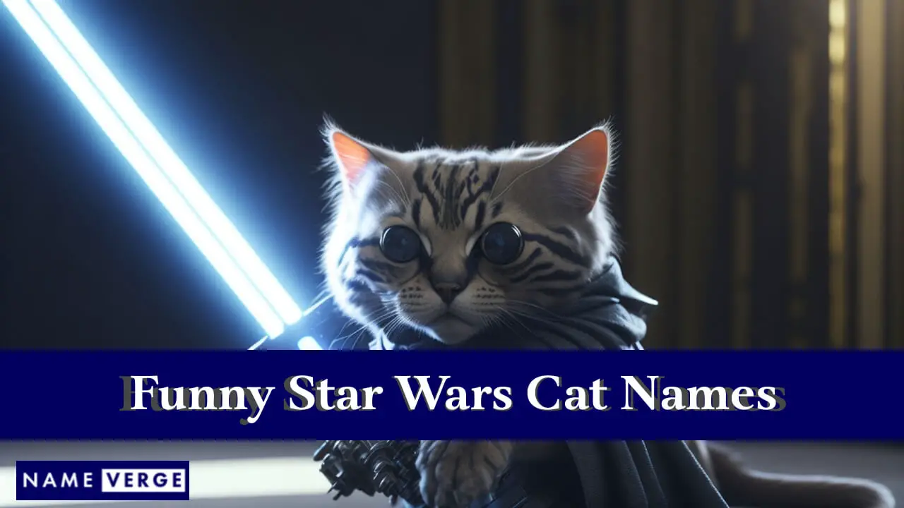 Nomi di gatti divertenti di Star Wars