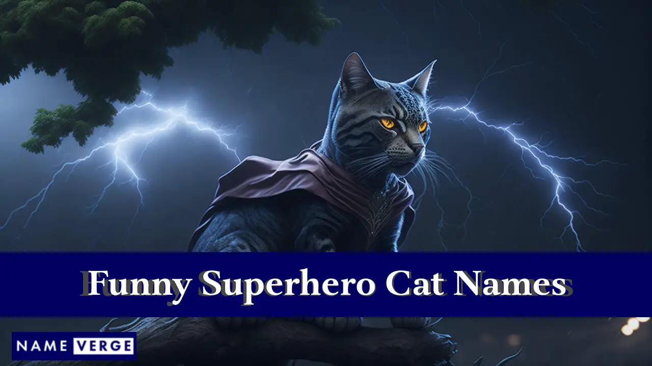 Nomi divertenti per gatti supereroi