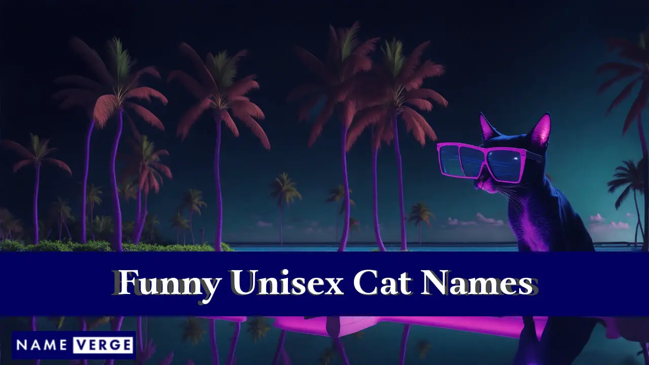 Nomi di gatti unisex divertenti