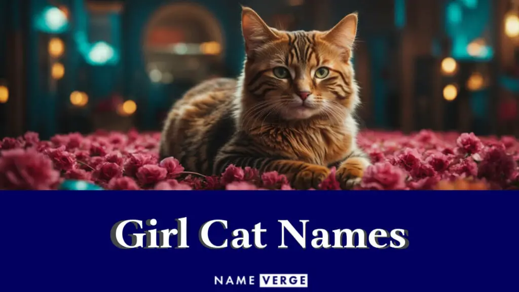 girl cat names