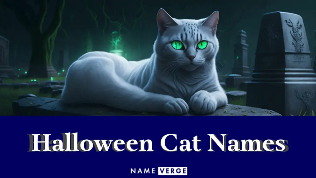 halloween cat names