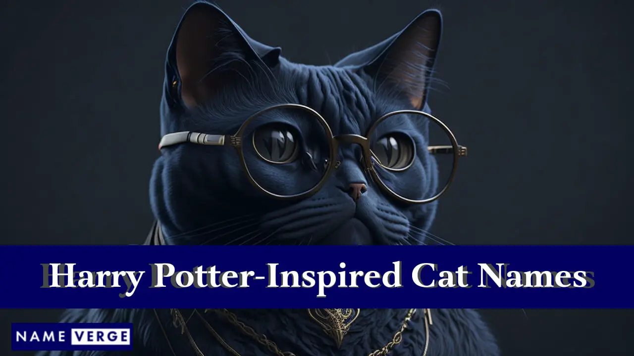 Nomi di gatti ispirati a Harry Potter