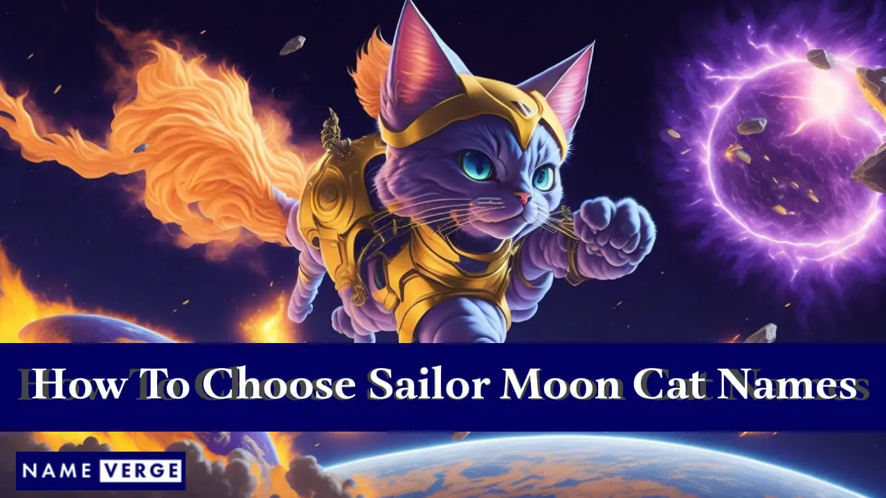 Come scegliere i nomi dei gatti di Sailor Moon