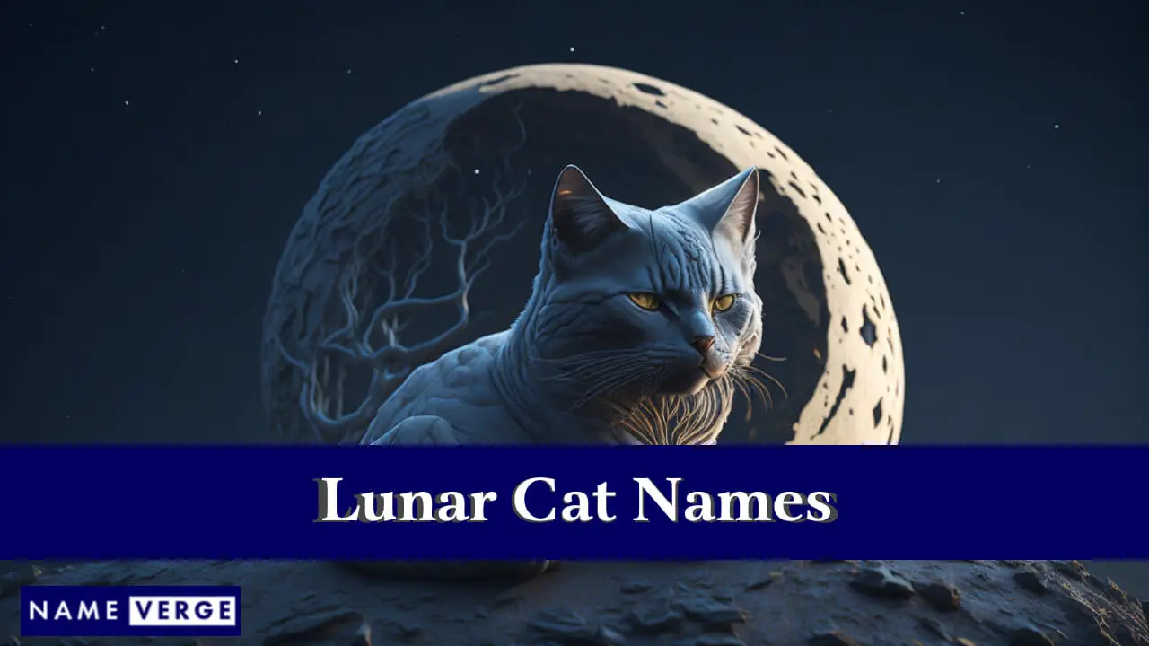 Nomi di gatti lunari