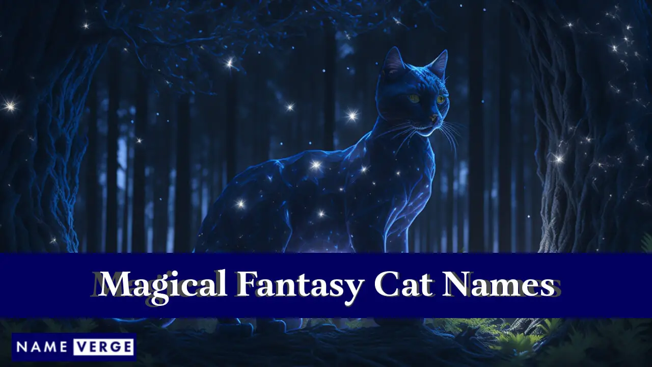 Nomi di gatti di fantasia magica