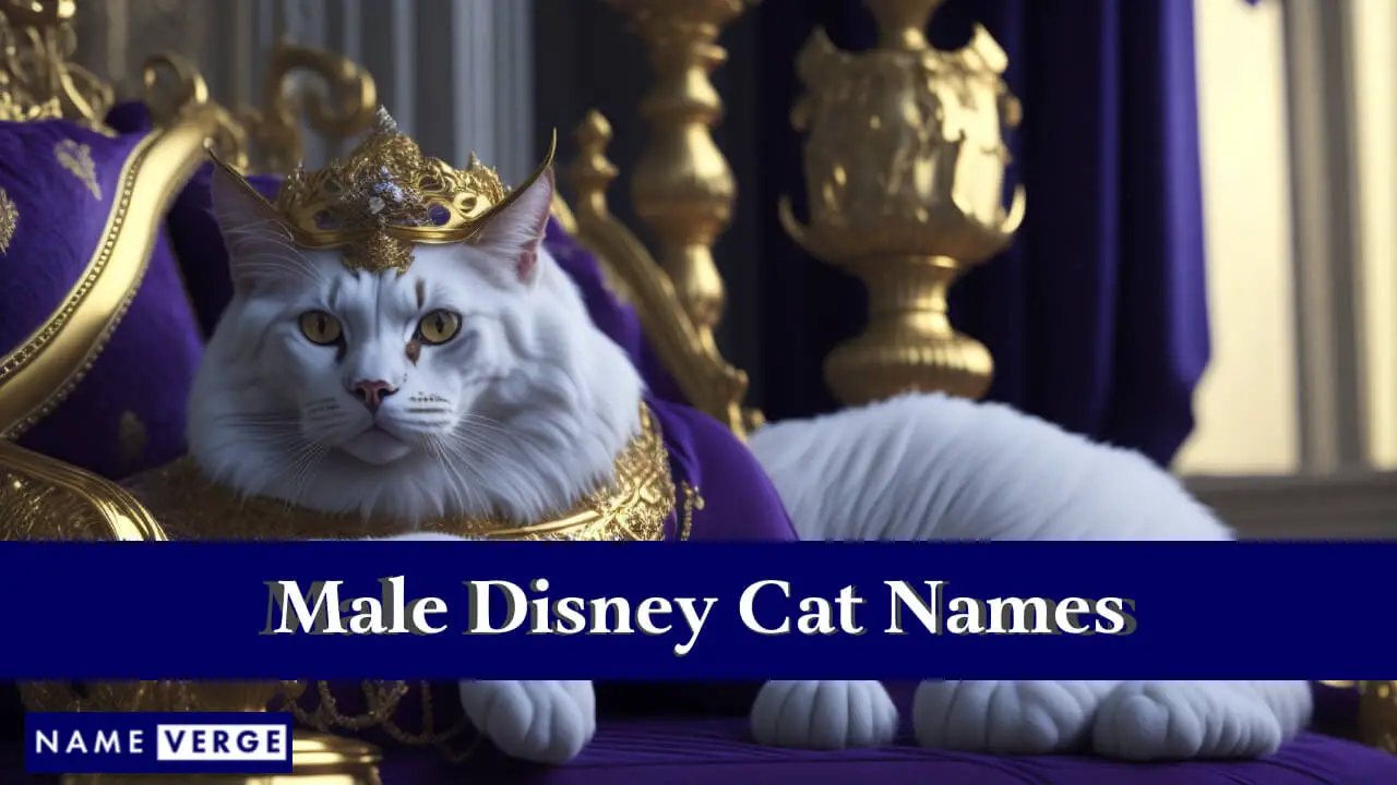 Nomi di gatti Disney maschili