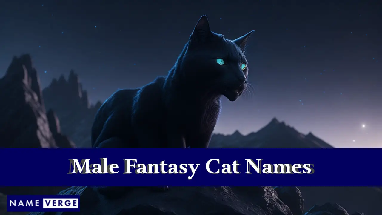 Nomi di gatti fantasy maschi
