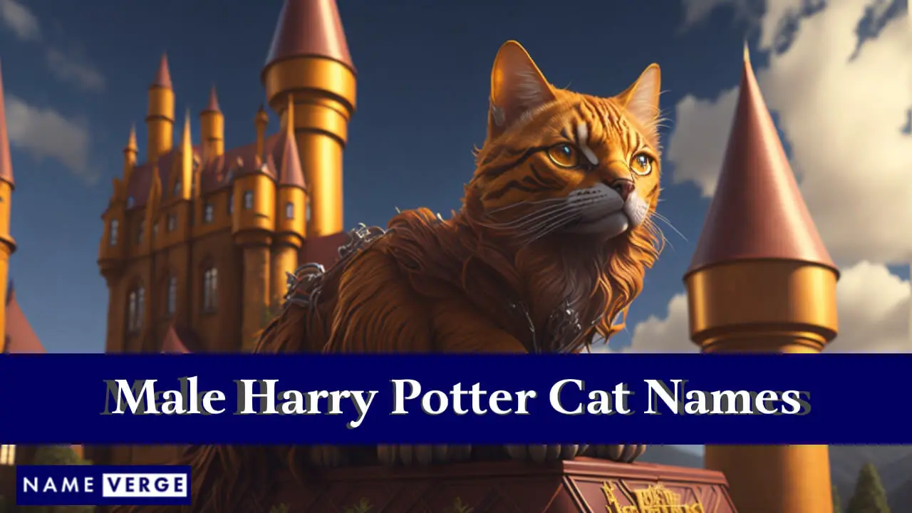 Nomi di gatti maschi di Harry Potter