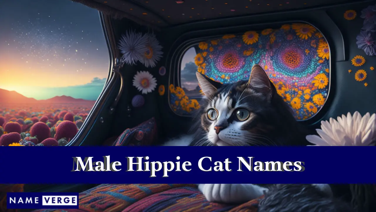 Nomi di gatti hippie maschili