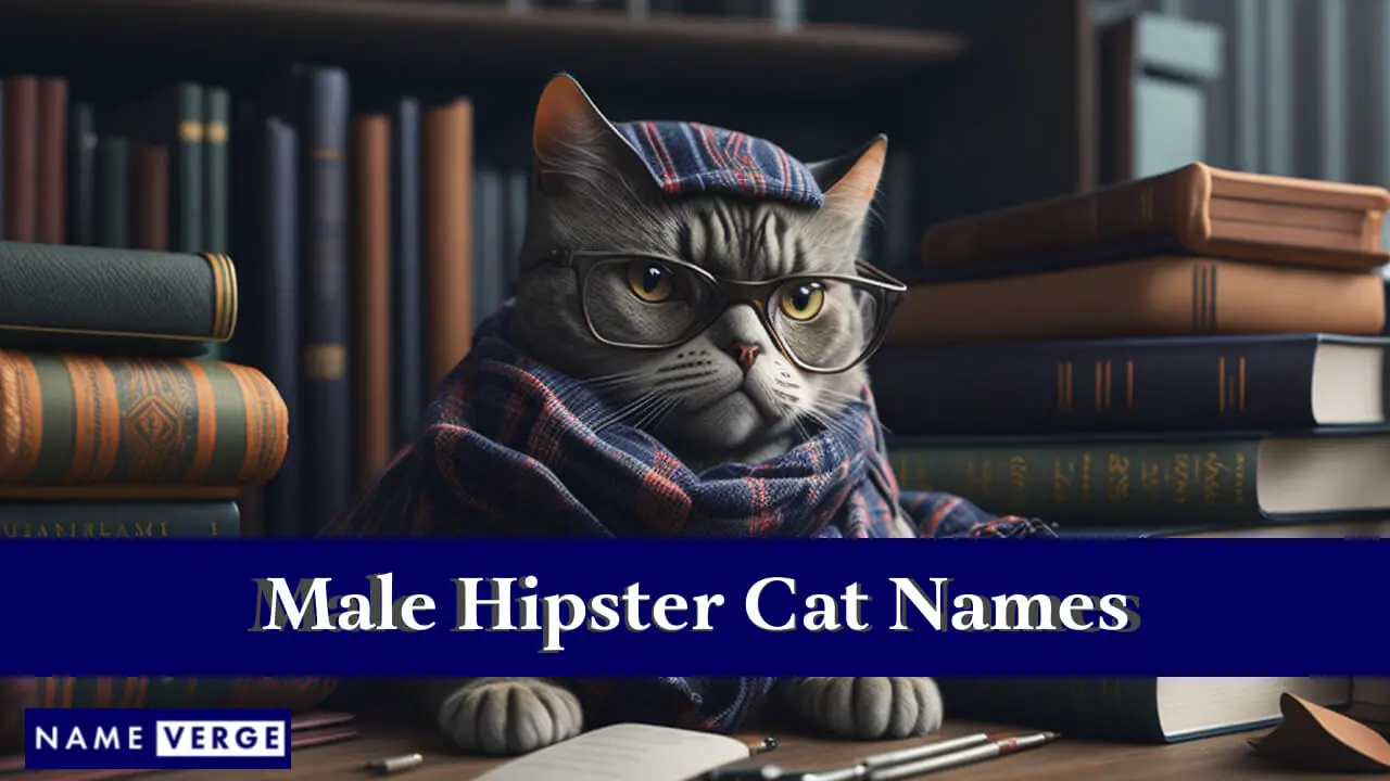 Nomi di gatti hipster maschili