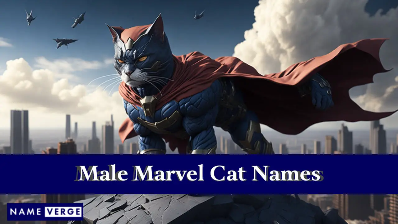 Nomi di gatti Marvel maschili