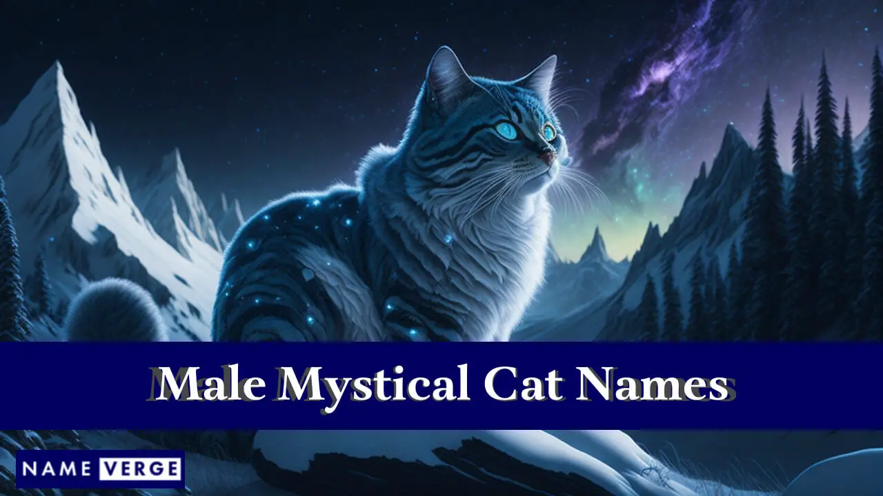 Nomi di gatti mistici maschili