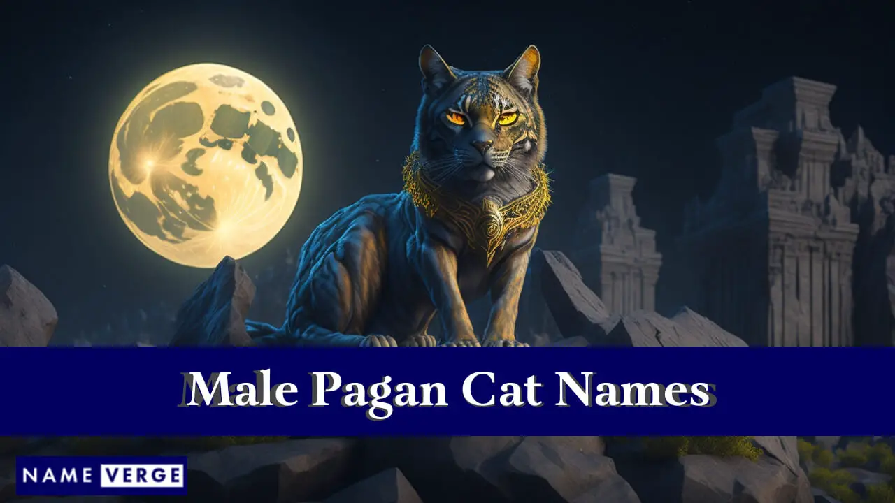 Nomi di gatti pagani maschi