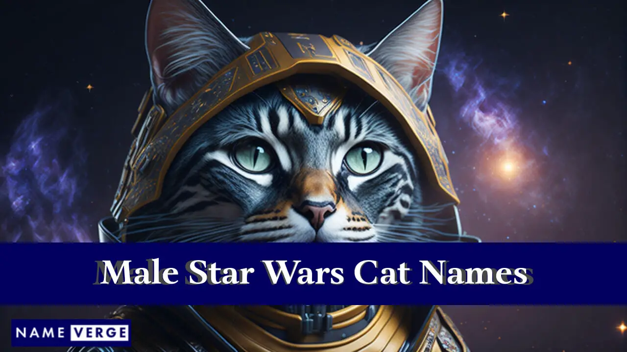 Nomi di gatti maschili di Star Wars