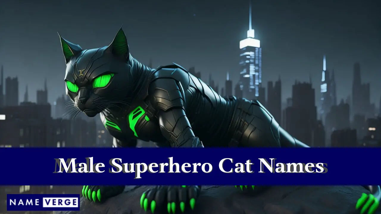 Nomi di gatti supereroi maschili