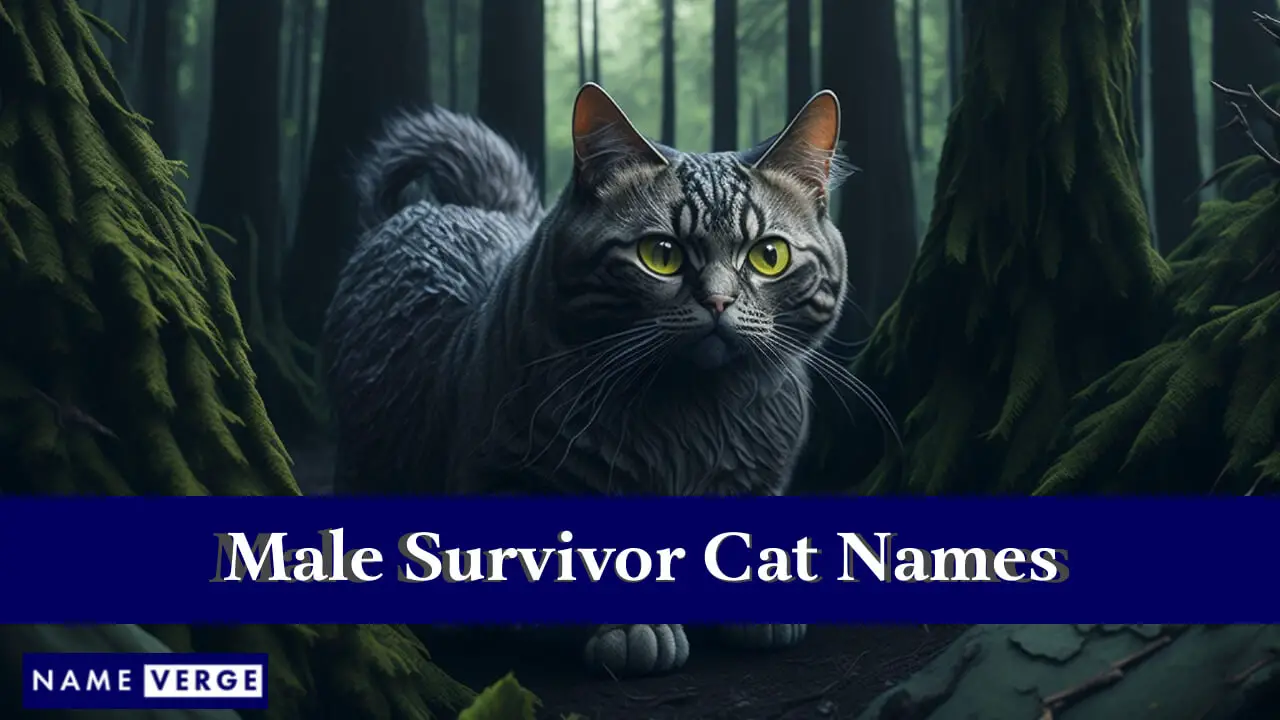 Nomi di gatti maschi sopravvissuti