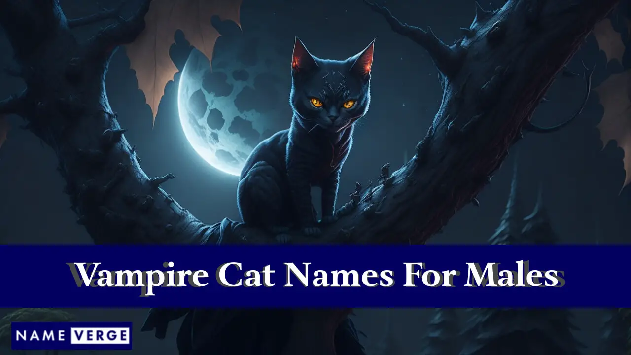 Nomi di gatti vampiri per maschi