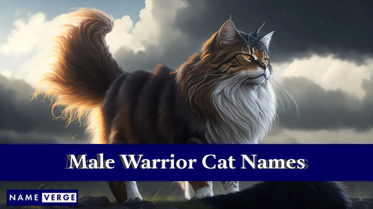 Nomi di gatti guerrieri maschi