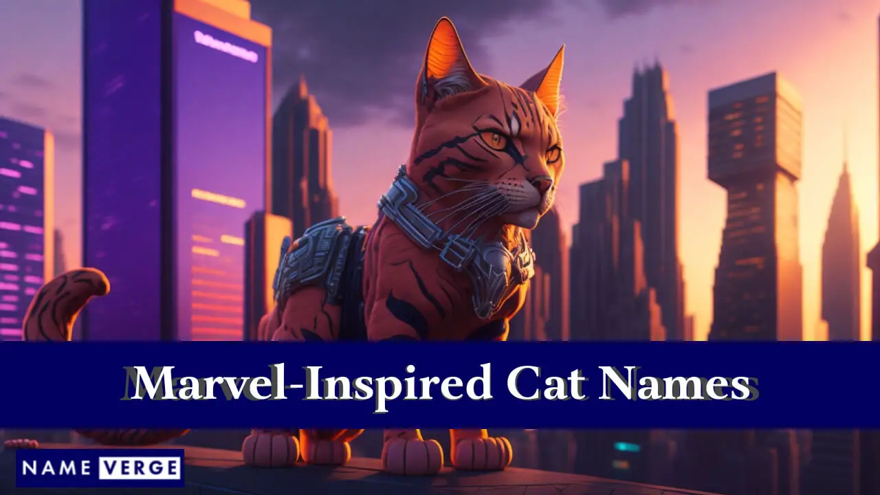 Nomi di gatti ispirati alla Marvel