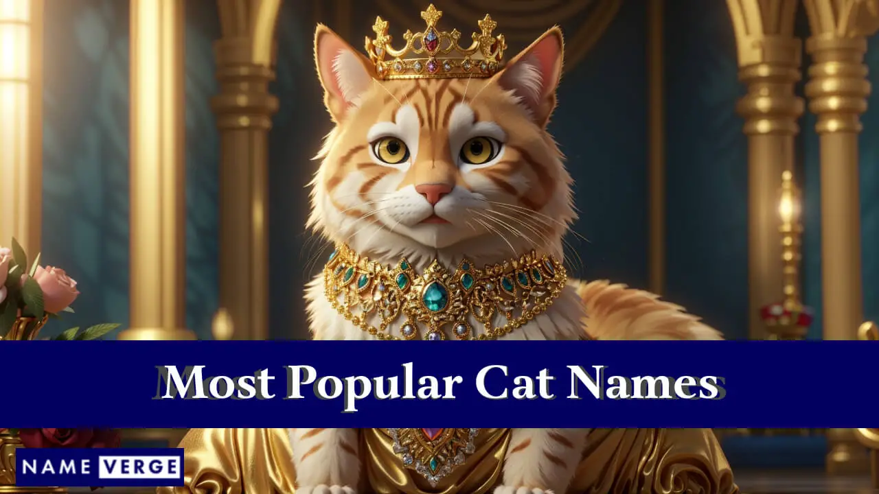 Nomi di gatti più popolari