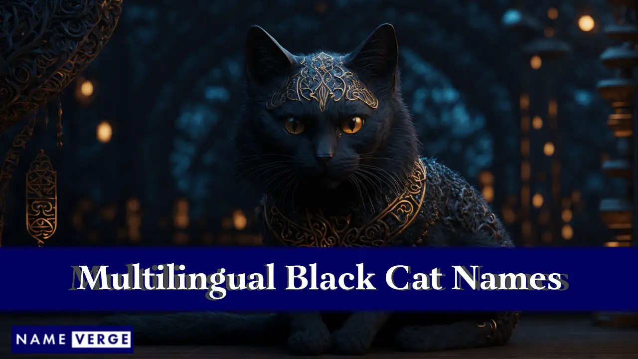 Nomi di gatti neri in altre lingue