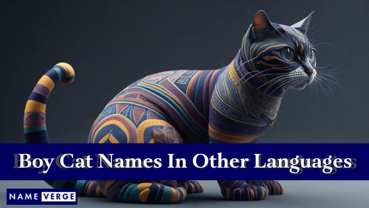 Nomi di gatti maschi in altre lingue