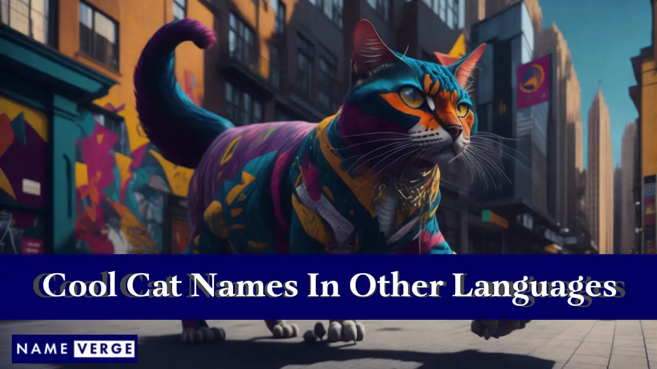 Nomi di gatti interessanti in altre lingue