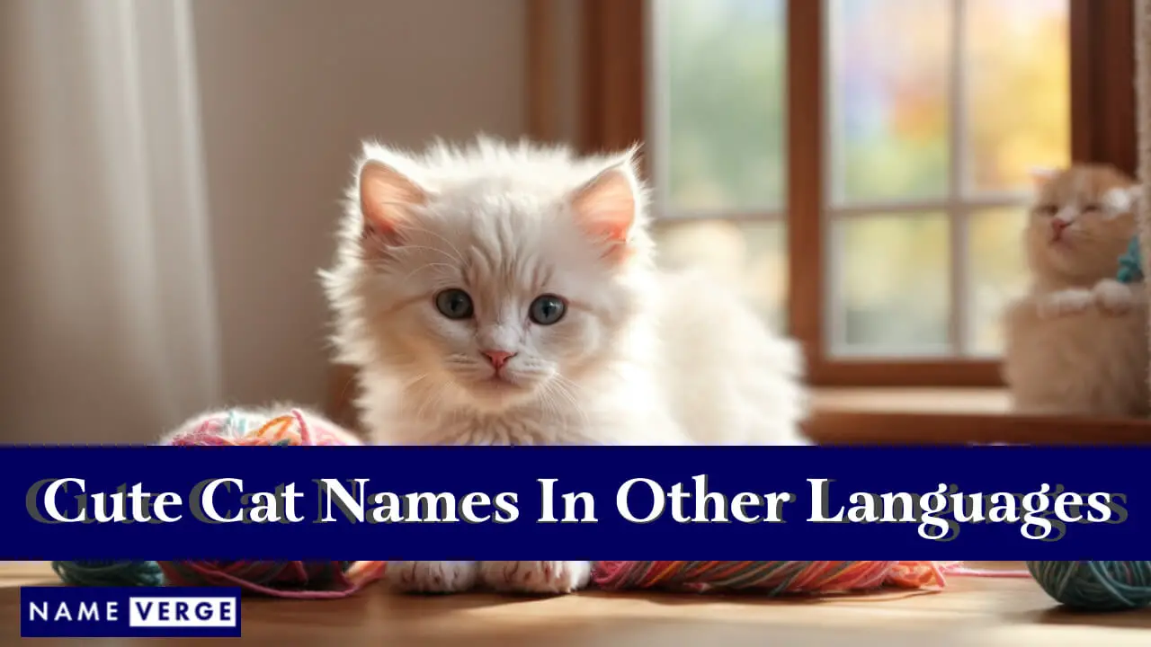 Nomi di gatti carini in altre lingue