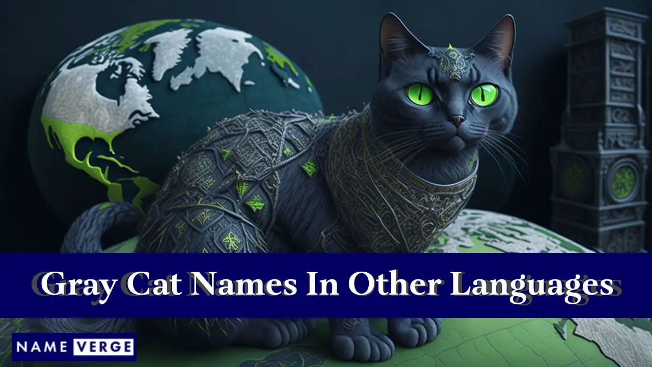 Nomi di gatti grigi in altre lingue