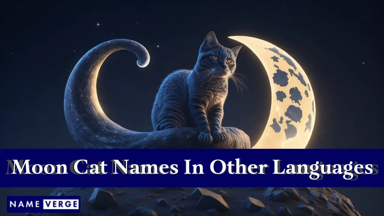 Nomi dei gatti lunari in altre lingue