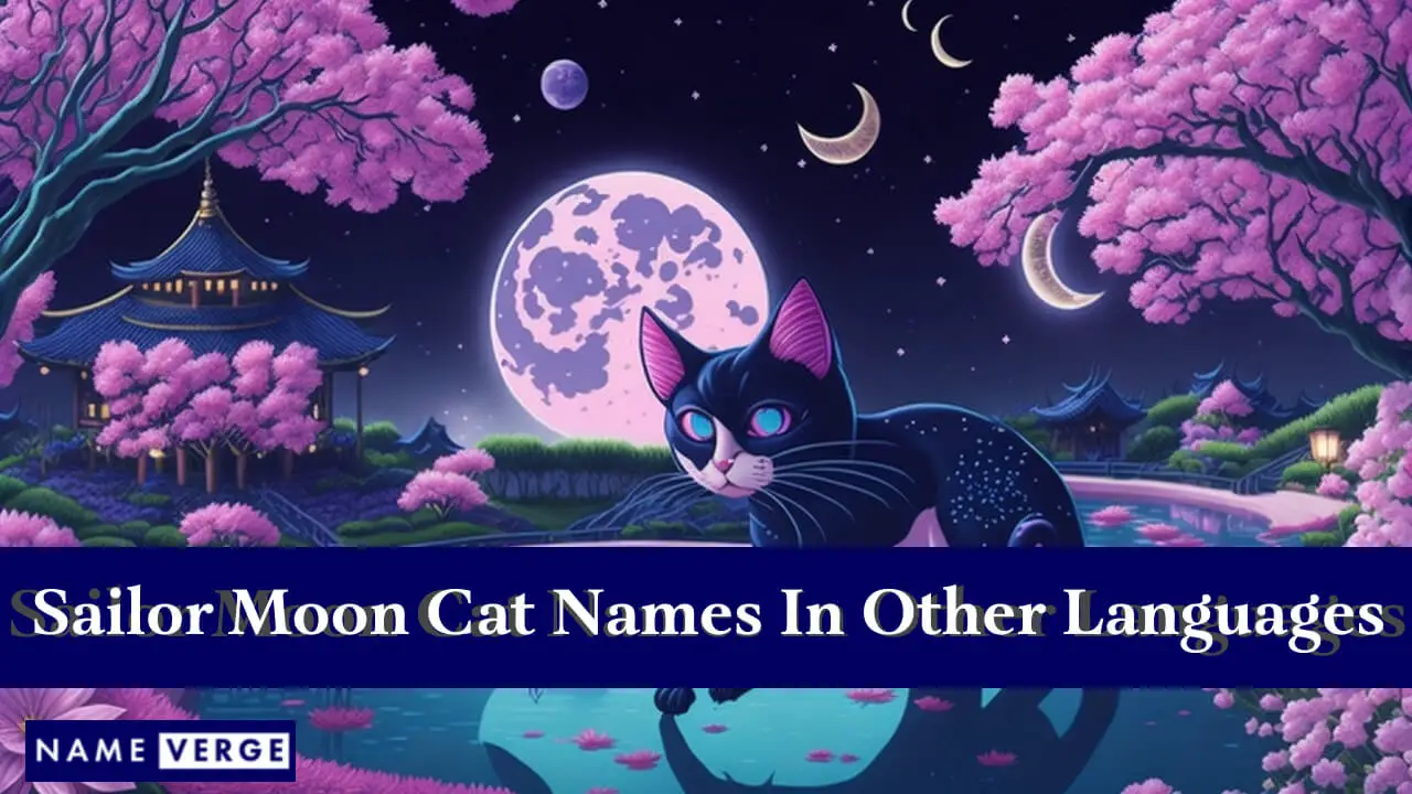 Nomi di gatti di Sailor Moon in altre lingue