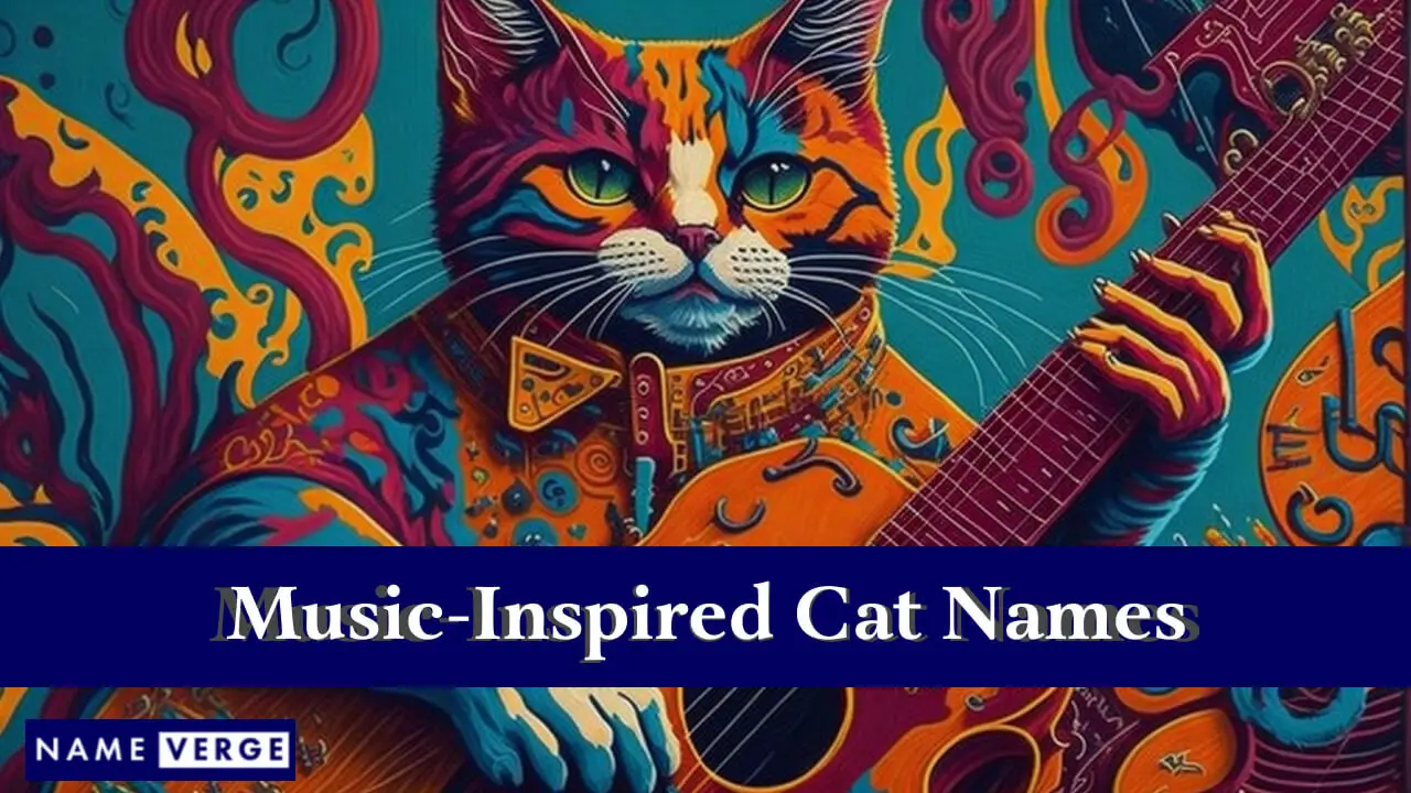 Nomi di gatti ispirati alla musica