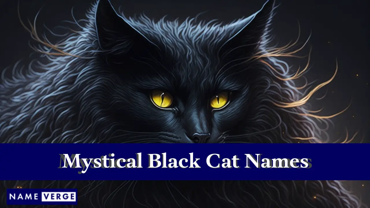 Nomi mistici di gatti neri
