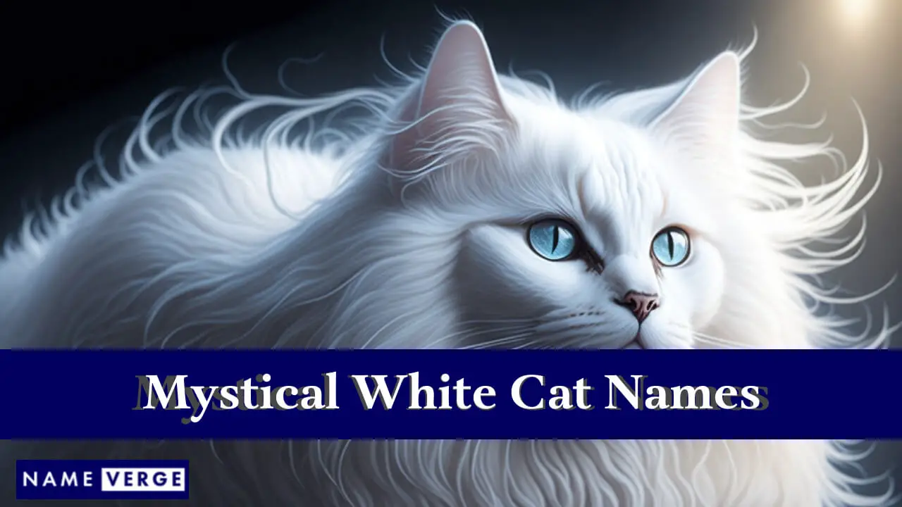 Nomi mistici di gatti bianchi