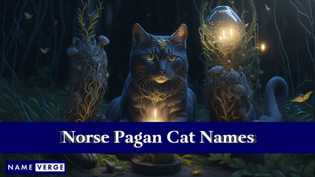 Nomi di gatti pagani norvegesi